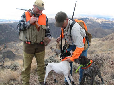Chukar Hunting in Oregon
